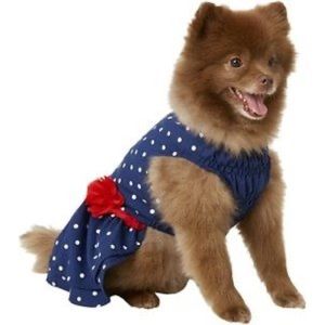Frisco blue and white polka dot dog dress